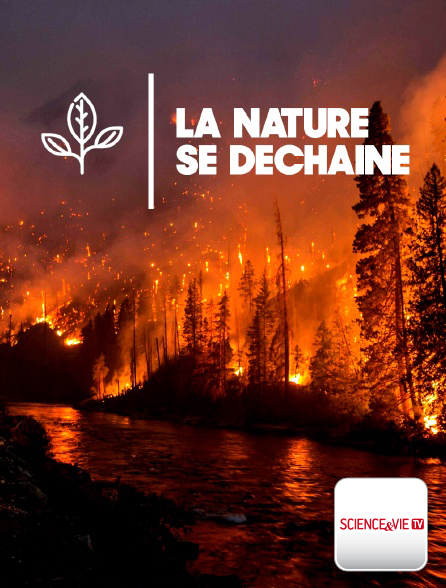 La nature se déchaine , Mardi 11h30 sur Science et Vie Les satellites et la modélisation informatique rendent la prévision météorologique admirablement fiable. Mais le temps peut se transformer en une force explosive d'une férocité terrifiante, qui nivelle les villes et éteint des vies sans avertissement.